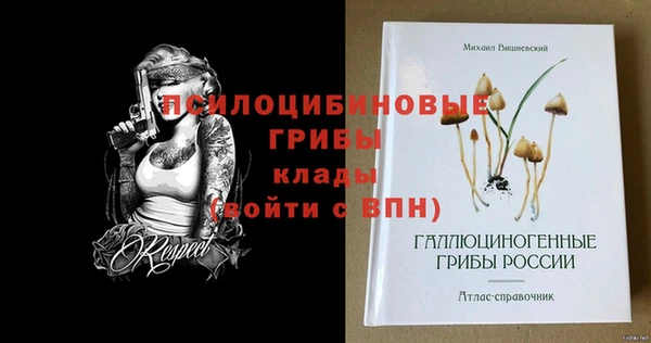 Альфа ПВП Алексин
