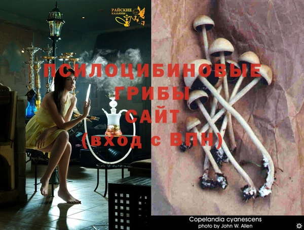 Альфа ПВП Алексин
