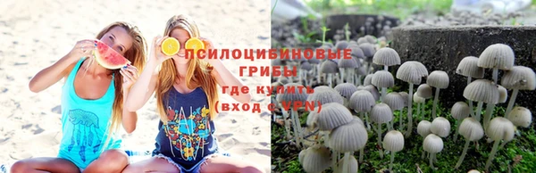 Альфа ПВП Алексин
