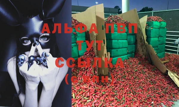 гидра Алзамай