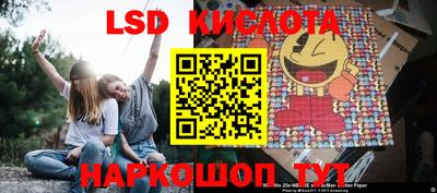 мет Кингисепп