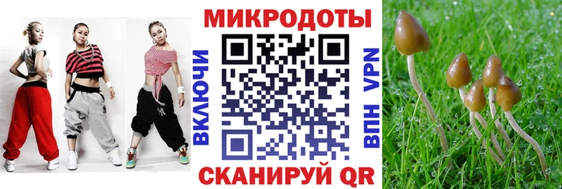 Галлюциногенные грибы MAGIC MUSHROOMS  закладка  Заинск 