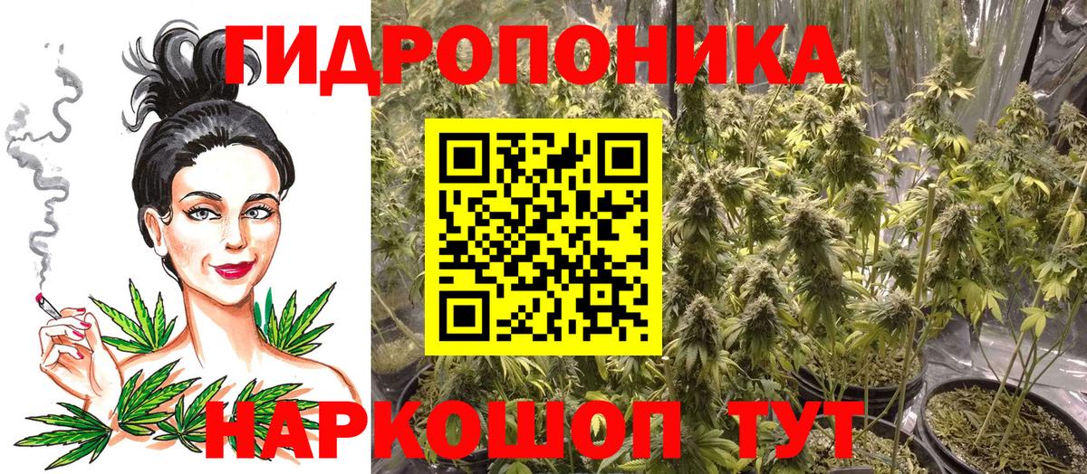 Канабис гибрид Заинск